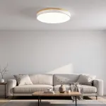 Потолочный светильник DISC DH D48 White с акриловым плафоном от ImperiumLoft