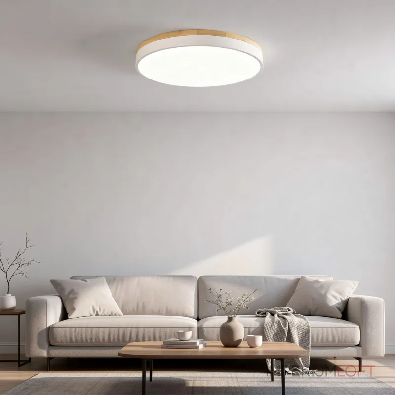 Потолочный светильник DISC DH D63 White с акриловым плафоном от ImperiumLoft Потолочный светильник DISC DH D63 White с акриловым плафоном от ImperiumLoft