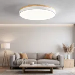 Потолочный светильник DISC DH D63 White с акриловым плафоном от ImperiumLoft