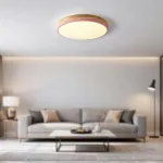 Потолочный светильник DISC DH D63 Pink с акриловым плафоном от ImperiumLoft