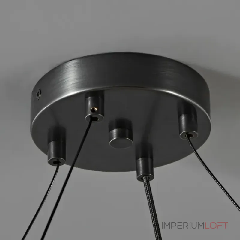 Кольцевые люстры и светильники EMBRET RING P6