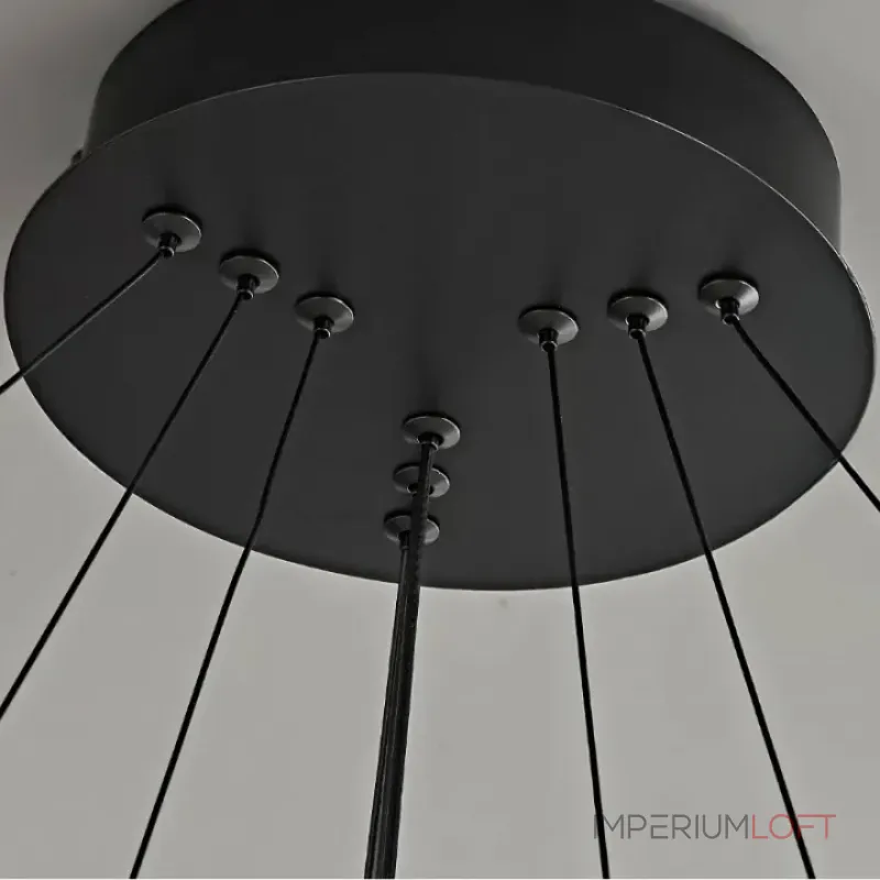 Кольцевые люстры и светильники CARA ELLIPSE RING P2 D68 D88 Black от ImperiumLoft