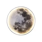 07831-80,19 Бра диммируемое Спутник черный d80 Led 48W (3000-6000K) с пультом ДУ