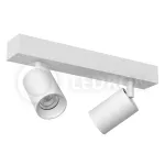 Накладной светодиодный светильник LeDron SAGITONY E2 S60 White от ImperiumLoft