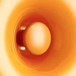 Настенный светильник Lightstar Catania 689613 от ImperiumLoft