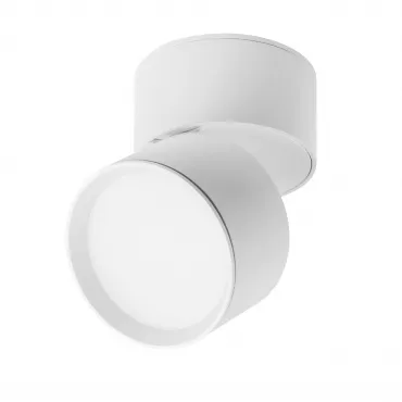 Светильник светодиодный накладной Lightstar Acuto 215836