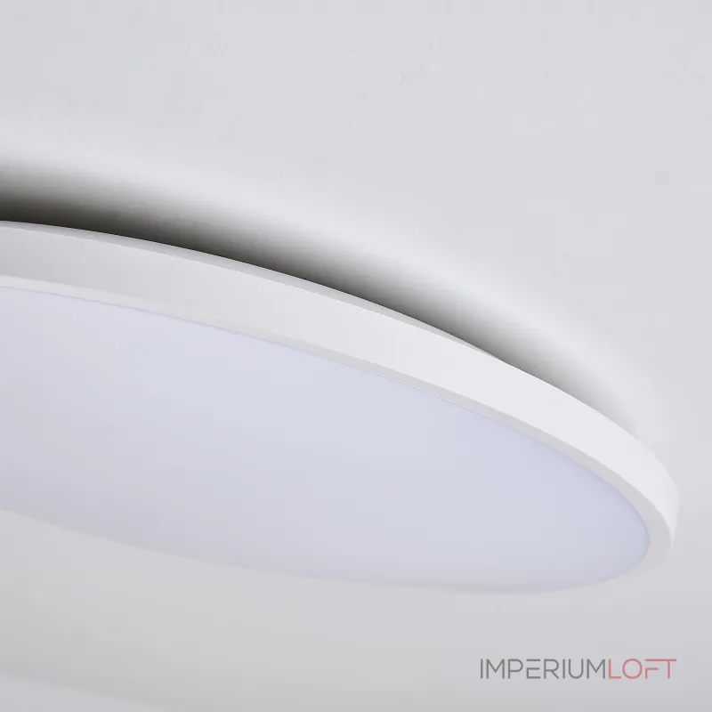 Настенно-потолочный светильник Lightstar Arco Eco 225741 от ImperiumLoft