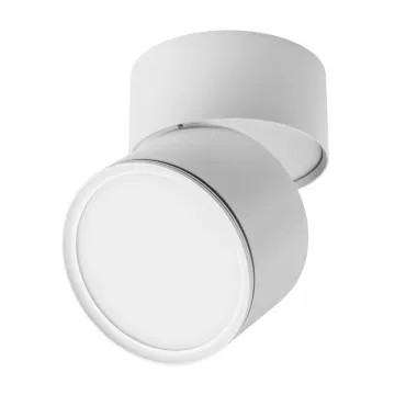 Светильник светодиодный накладной Lightstar Acuto 215886