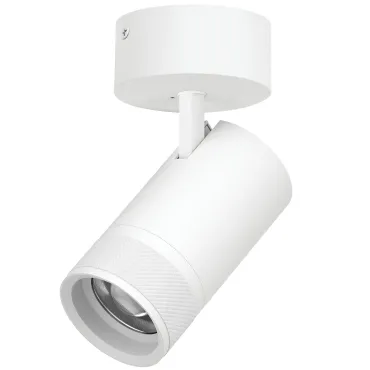 Потолочный светильник с адаптером Lightstar Canno Pro C4406SO Потолочный светильник с адаптером Lightstar Canno Pro C4406SO