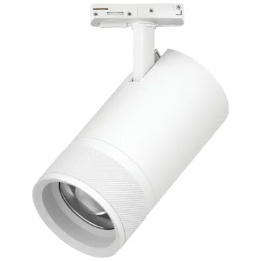 Трековый светильник Lightstar Canno Pro C4406SS Трековый светильник Lightstar Canno Pro C4406SS