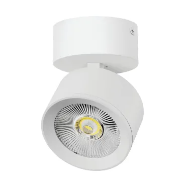 Потолочный светильник Lightstar Alta Pro A5546SO
