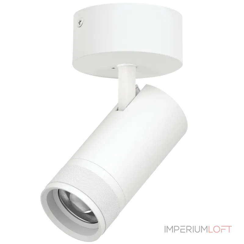 Потолочный светильник с адаптером Lightstar Canno Pro C4306SO от ImperiumLoft