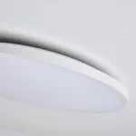 Настенно-потолочный светильник Lightstar Arco Eco 225720 от ImperiumLoft