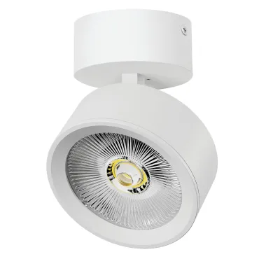 Потолочный светильник Lightstar Alta Pro A5636SO Потолочный светильник Lightstar Alta Pro A5636SO
