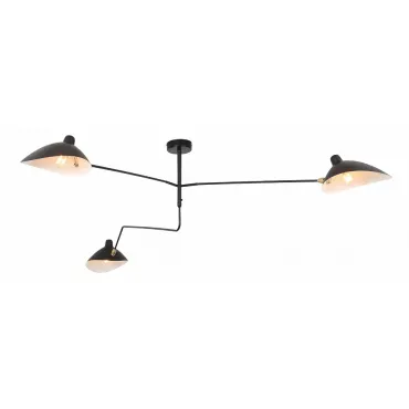 Потолочный светильник ST-Luce Spruzzo SL305.402.03 Потолочный светильник ST-Luce Spruzzo SL305.402.03
