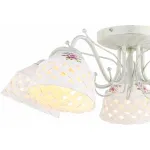 Потолочная люстра Arte Lamp Wicker A6616PL-5WG