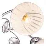 Потолочная люстра Arte Lamp Uva A9524PL-5CC