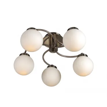 Потолочная люстра Arte Lamp Cloud A8170PL-5SS Потолочная люстра Arte Lamp Cloud A8170PL-5SS