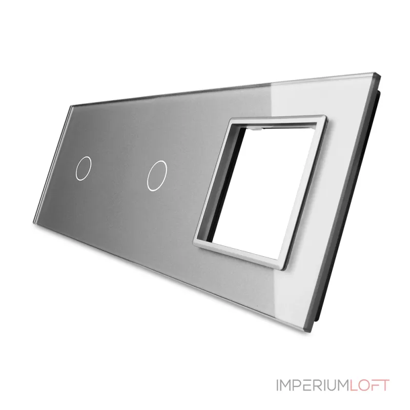Серебряная рамка для двух одноклавишных сенсорных выключателей с розеткой от ImperiumLoft Серебряная рамка для двух одноклавишных сенсорных выключателей с розеткой от ImperiumLoft