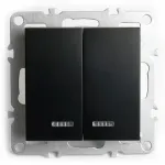 Выключатель двухклавишный с подсветкой без рамки Stekker Эрна 49147 от ImperiumLoft