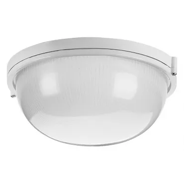 Накладной светильник Wolta ДПБ03-100-001 Накладной светильник Wolta ДПБ03-100-001