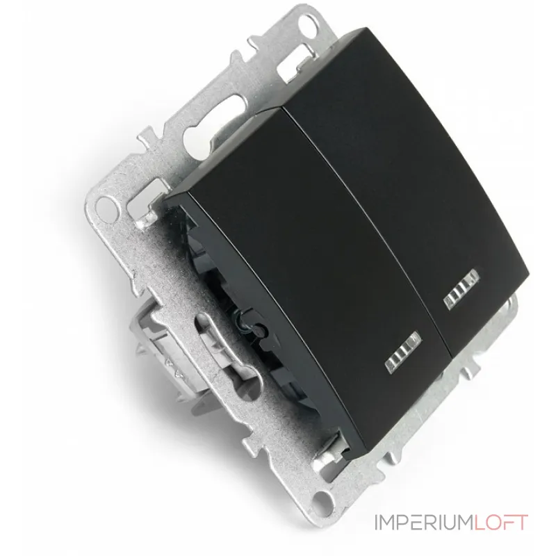 Выключатель двухклавишный с подсветкой без рамки Stekker Эрна 49147 от ImperiumLoft