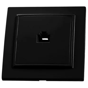 Розетка Ethernet RJ-45 Stekker Эрна 39475