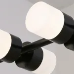 Подвесной светильник LIGHTERA Ontario LE115L-12B