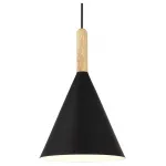 Подвесной светильник EVOLUCE Arket SLE1255-403-01