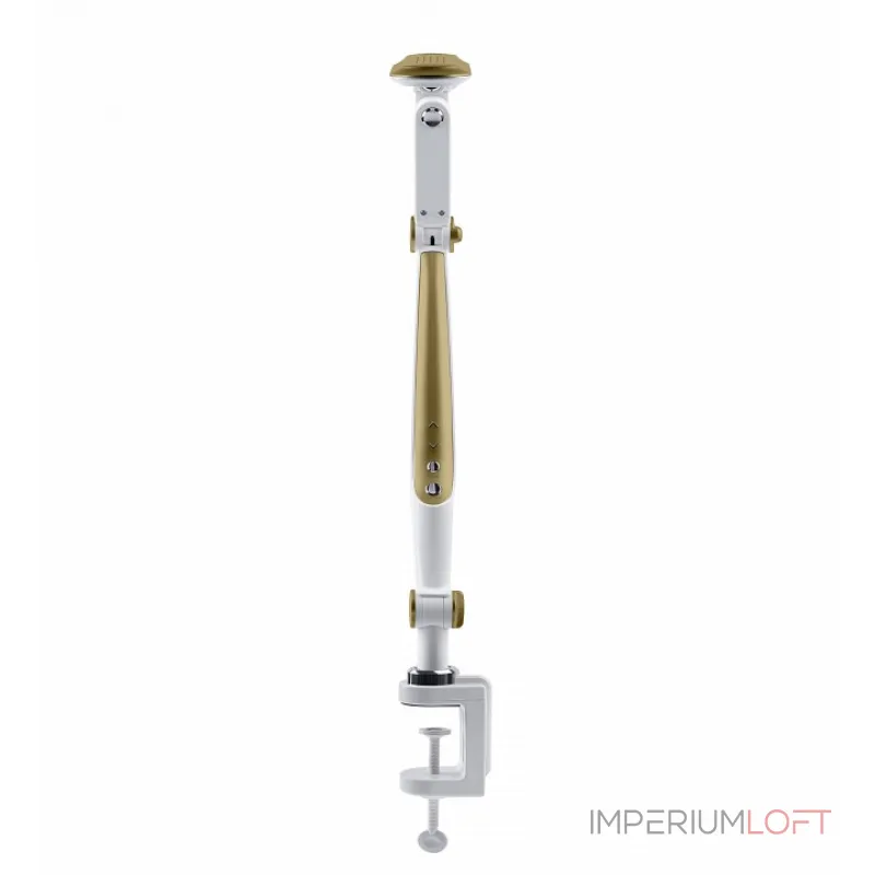 Настольная лампа офисная Эра NLED-496 Б0052769 от ImperiumLoft