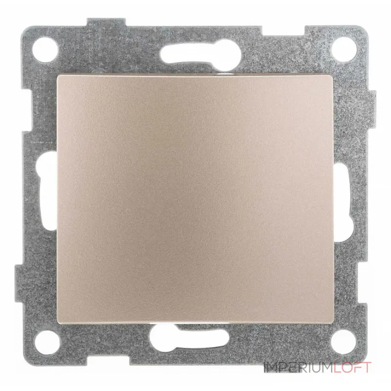 Выключатель двухполюсной одноклавишный без рамки Gusi Electric BRAVO С10В5-027 от ImperiumLoft