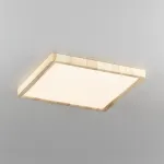 Накладной светильник Citilux Бейсик CL738K242V от ImperiumLoft