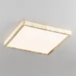 Накладной светильник Citilux Бейсик CL738K242V от ImperiumLoft