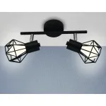 Настенно-потолочный спот в стиле лофт TR8621/2 BK/CH черный/хром E27*2 max 40W 260*91*175 от NovaLamp