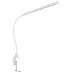 Настольная лампа офисная Citilux Рио CL803090N от ImperiumLoft