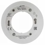 Накладной светильник Эра OL38 BK Б0056386 от ImperiumLoft