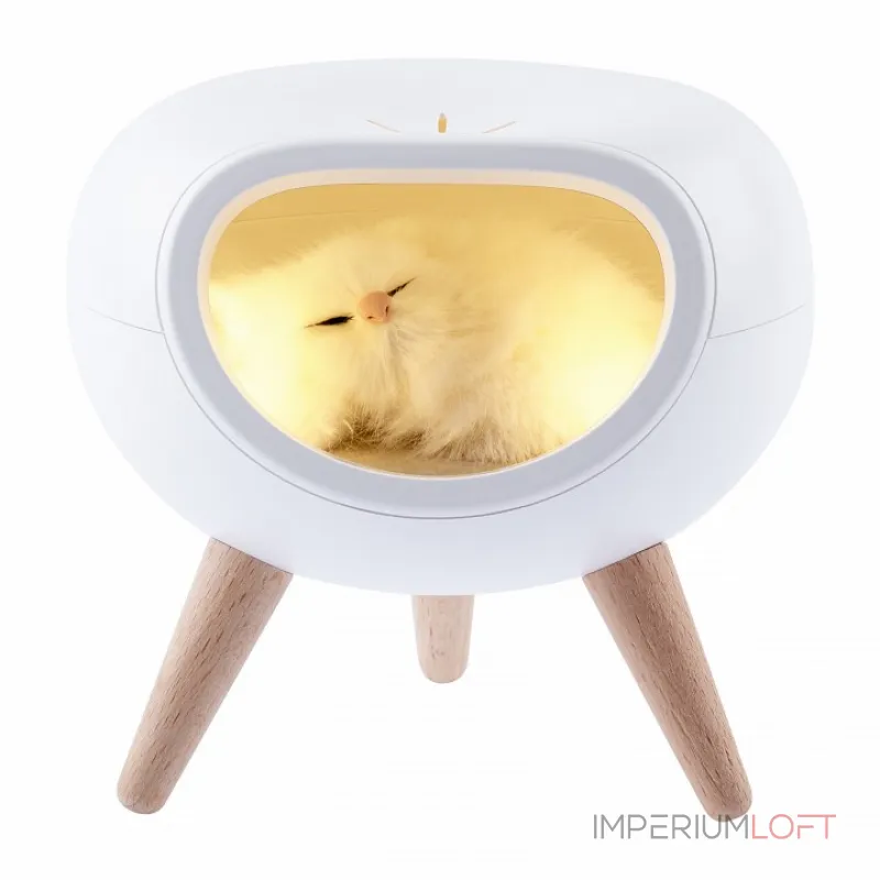 Настольная лампа-ночник Эра NLED-467 Б0052814 от ImperiumLoft