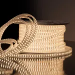 Лента светодиодная  Elektrostandard LS011 a041110 от ImperiumLoft