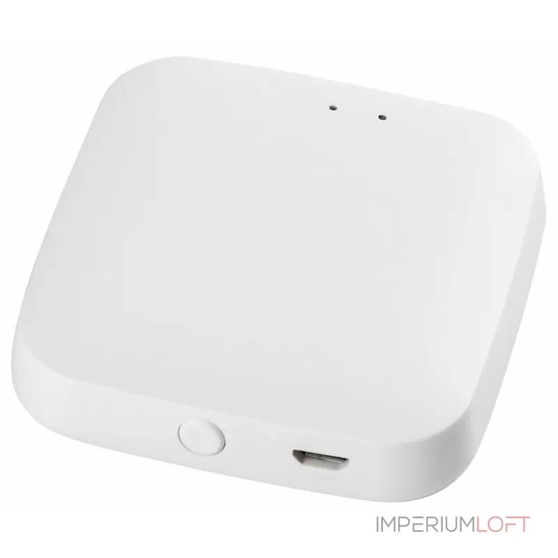 Контроллер-выключатель Wi-Fi для смартфонов и планшетов Lightstar PRO 505500R от ImperiumLoft Контроллер-выключатель Wi-Fi для смартфонов и планшетов Lightstar PRO 505500R от ImperiumLoft