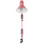 Настольная лампа офисная Эра N-121 Б0052761 от ImperiumLoft