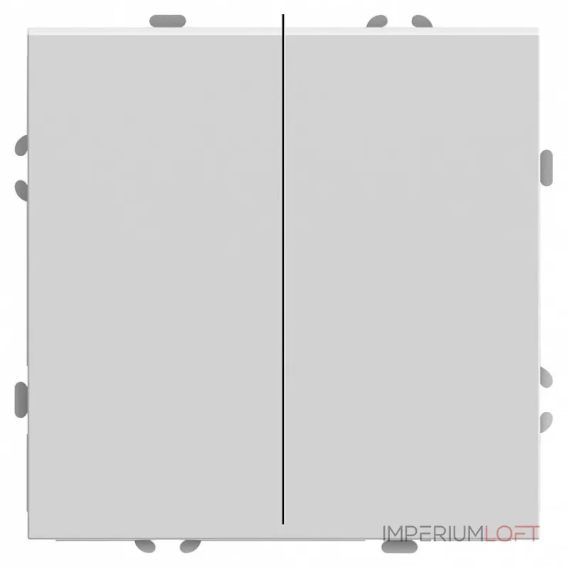Выключатель двухклавишный без рамки Stekker RSW10-5104-01 49866 от ImperiumLoft Выключатель двухклавишный без рамки Stekker RSW10-5104-01 49866 от ImperiumLoft