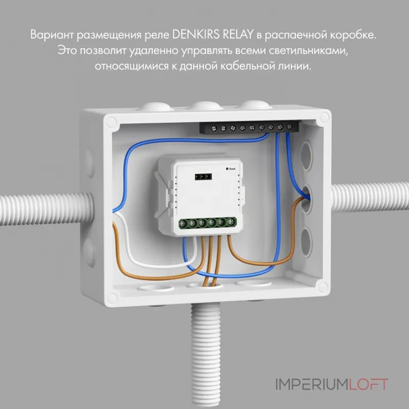 Контроллер-диммер Wi-Fi для смартфонов и планшетов Denkirs Relay RL1003-DM от ImperiumLoft