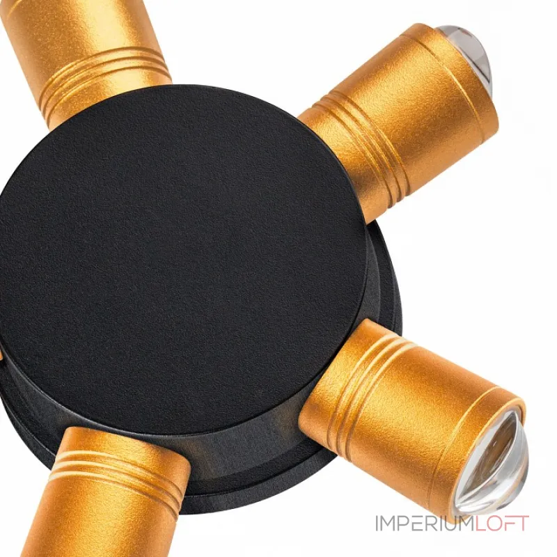 Накладной светильник Lightstar Dito 380653 от ImperiumLoft Накладной светильник Lightstar Dito 380653 от ImperiumLoft