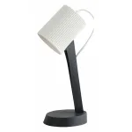 Настольная лампа офисная Lussole Union LSP-0673 от ImperiumLoft