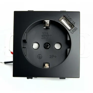 Розетка с заземлением и со шторками и 2хUSB без рамки Stekker Эрна 49155 Розетка с заземлением и со шторками и 2хUSB без рамки Stekker Эрна 49155