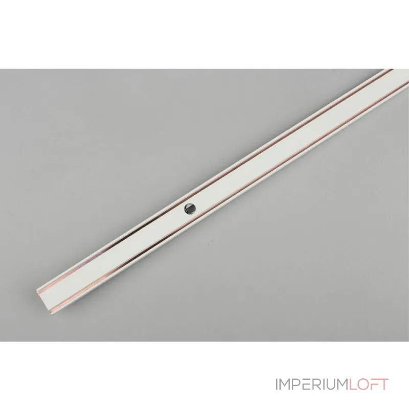 Трек накладной Aployt Magnetic track 48 APL.0170.10.300 от ImperiumLoft