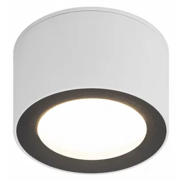 Потолочный светильник Эра OL28 WH/BK Б0055581 Потолочный светильник Эра OL28 WH/BK Б0055581