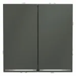 Проходной переключатель встраиваемый S70 двухклавишный с подсветкой 10А (титан) Voltum VLS020406