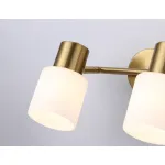 Настенно-потолочный спот TR3969/2 BS/FR латунь/белый матовый E27*2 max 40W 260*80*210 от NovaLamp