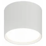 Накладной светильник Эра OL39 WH Б0056389 от ImperiumLoft